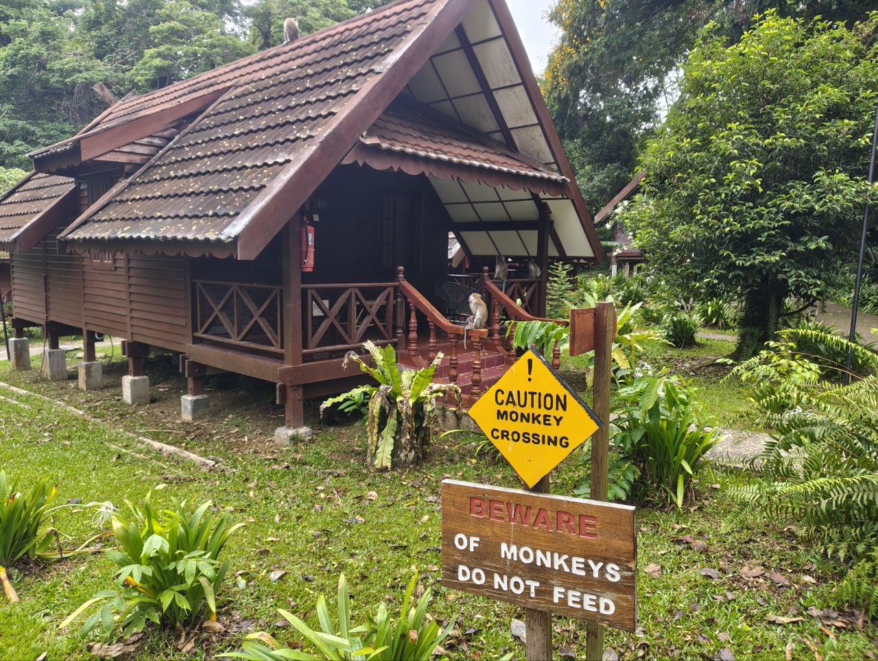 Табличка Monkey Crossing и обезьяна на веранде
