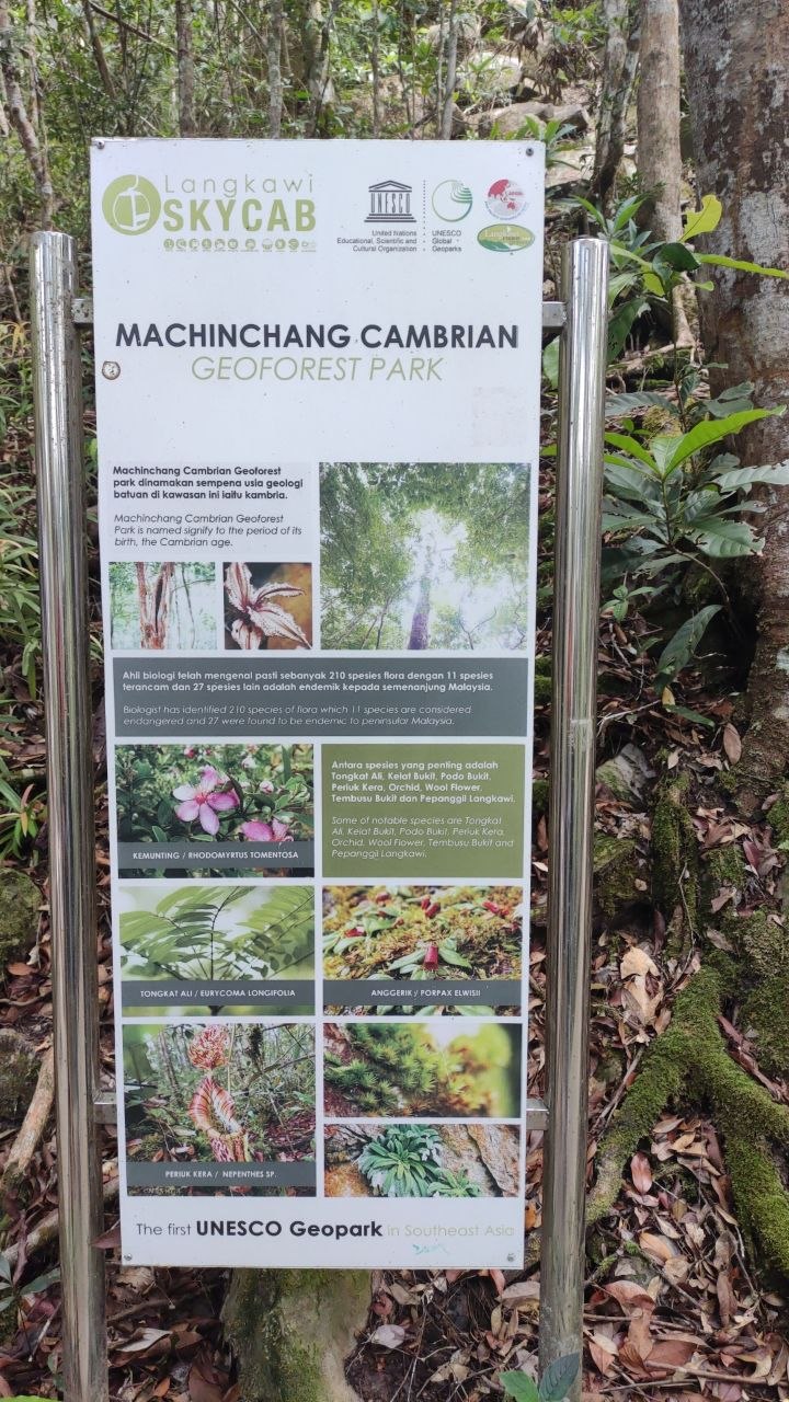 Информационный щит Machinchang Cambrian Geoforest Park